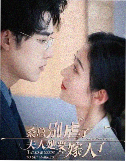 繁花 第二季 可可影视在线追剧